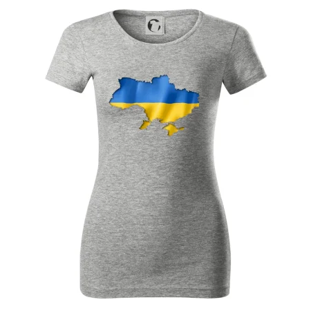 Ukrajina vlajka mapa