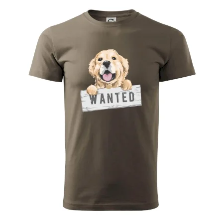 Zlatý retriever - šteniatko wanted