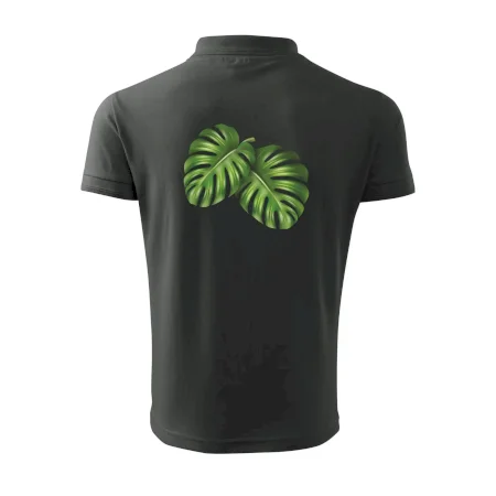 Monstera - dva listy