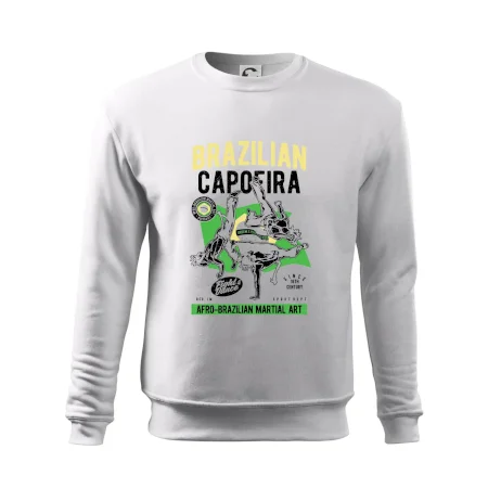 Brazilian Capoeira