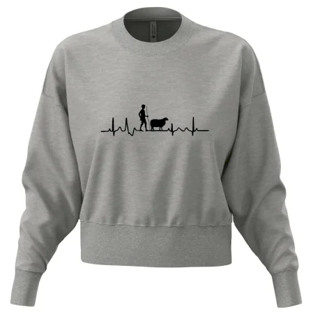 Ekg pastier oviec