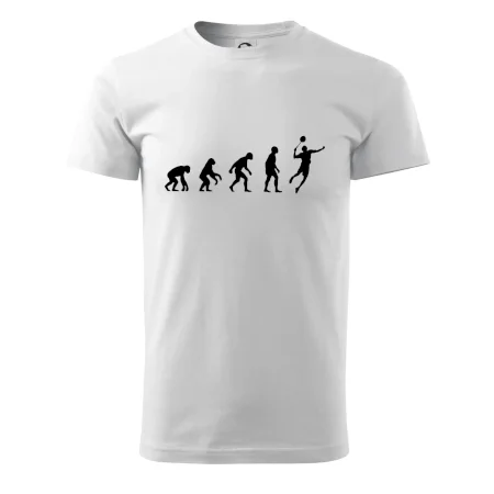 Evolúcia Bedminton