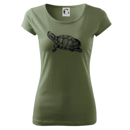 Ceruzkou kreslená korytnačka