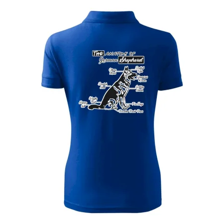 Nemecký ovčiak - Anatómia