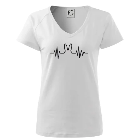 EKG zajac