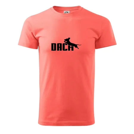 Jazvečík Dach
