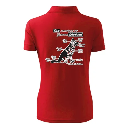 Nemecký ovčiak - Anatómia