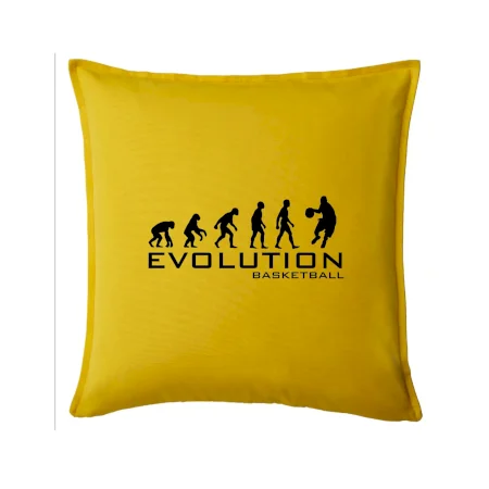 Evolúcia Basketball