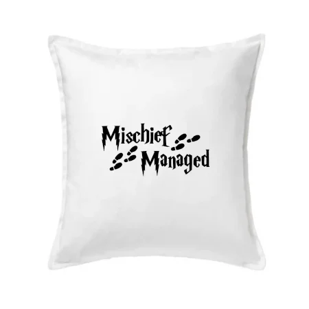 Harry - Mischief Managed