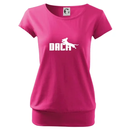 Jazvečík Dach