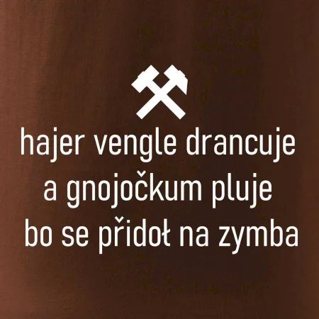 Hajer vengle drancuje a gnojočkum pluje bo se přidoł na zymba