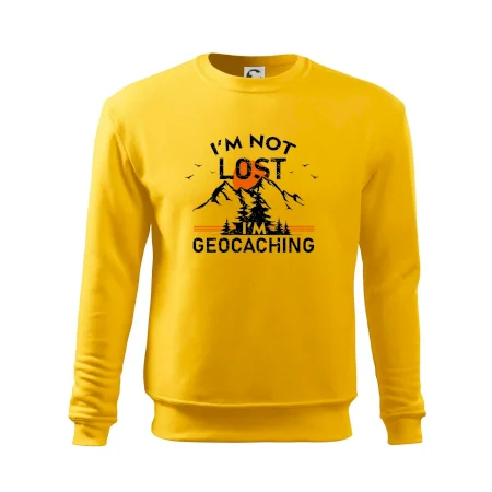 Im not lost - geocaching
