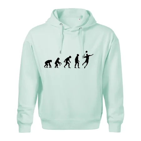Evolúcia Bedminton