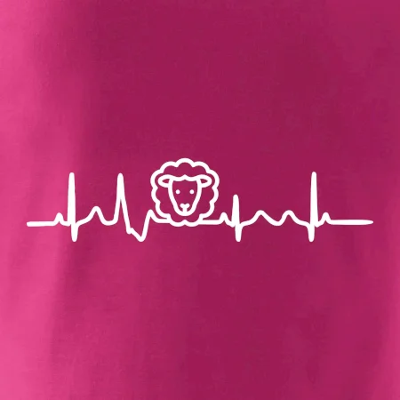 Ekg ovce