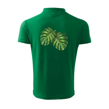 Monstera - dva listy