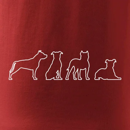 Americký stafordšírsky teriér v rôznych pozíciách