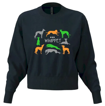 Whippet farebný