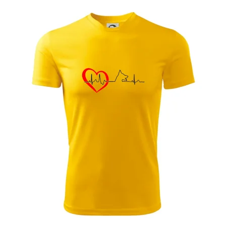 Nemecký ovčiak ekg