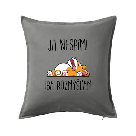 Ja nespím, iba rozmýšľam SK