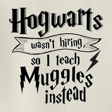 Harry - Hogwarts wasn’t hiring, so I teach Muggles instead