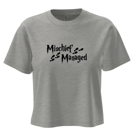 Harry - Mischief Managed