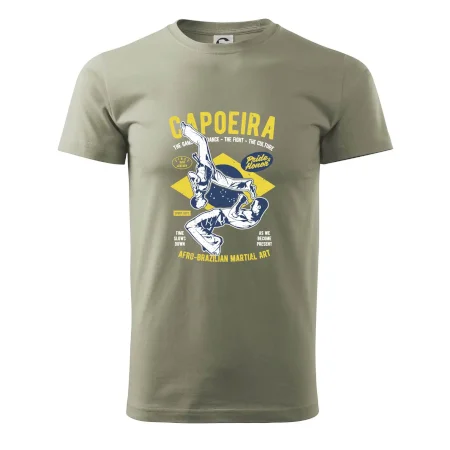Capoeira  Afro-brazil art