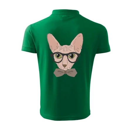 Hipster sphynx
