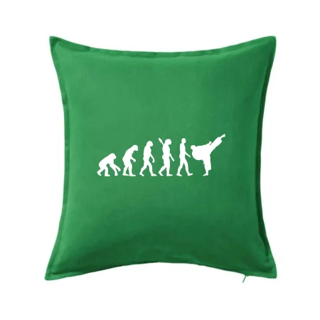 Karate Evolúcia - kop