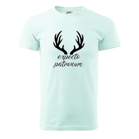Harry - Expecto patronum