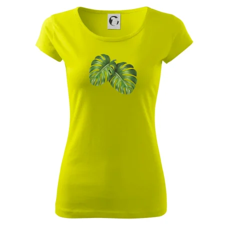 Monstera - dva listy