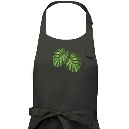 Monstera - dva listy