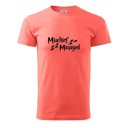 Harry - Mischief Managed