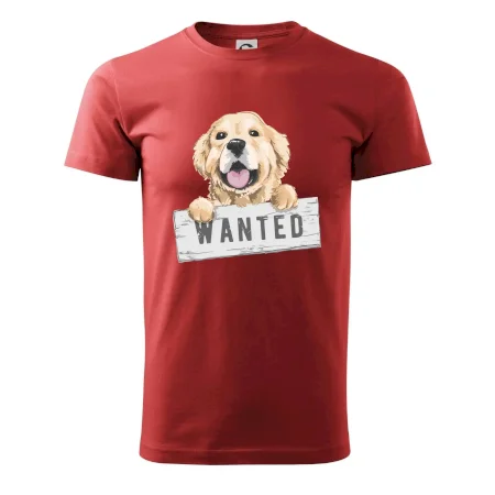 Zlatý retriever - šteniatko wanted