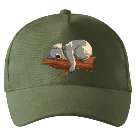 Koala na vetve