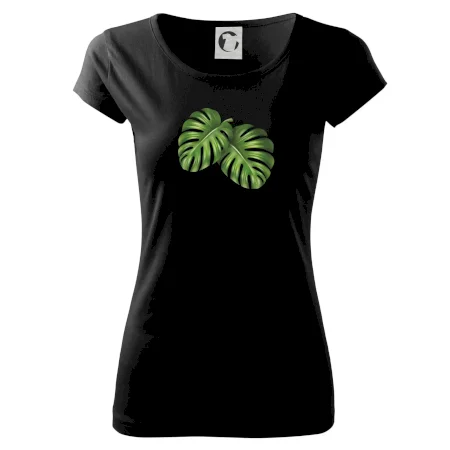 Monstera - dva listy