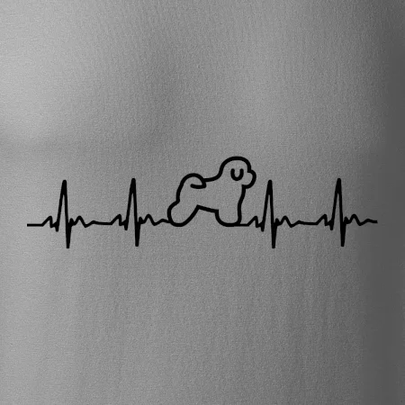 Bišónik ekg