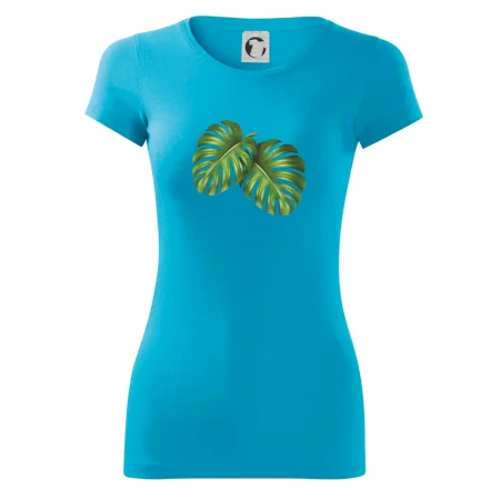 Monstera - dva listy
