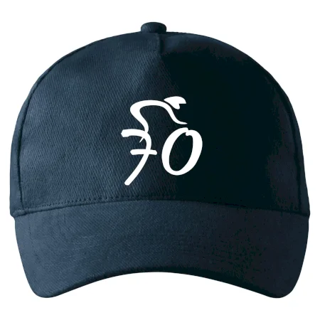 Cyklista oslavuje sedemdesiatku (70)