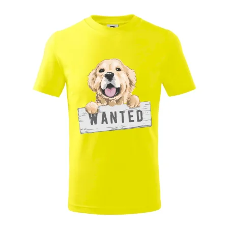 Zlatý retriever - šteniatko wanted