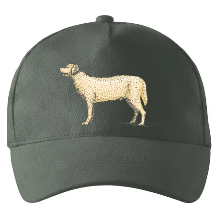 Vintage Labrador