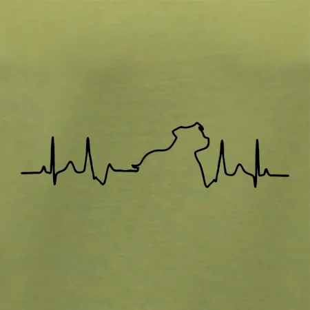 Stafordšírsky bulteriér ‎ EKG