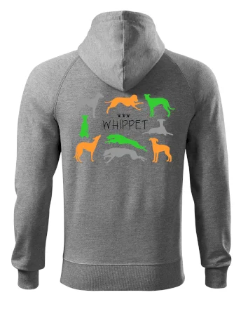 Whippet farebný