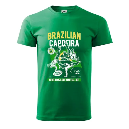 Brazilian Capoeira