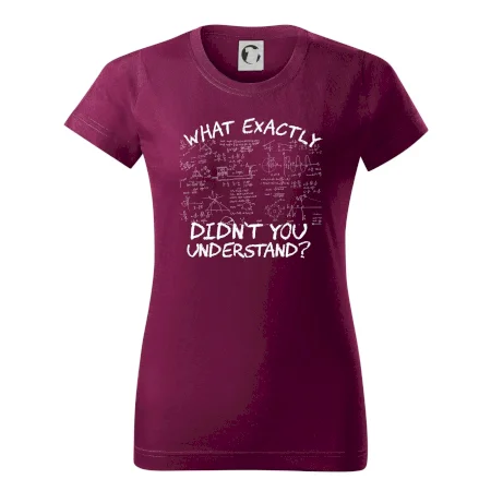 What exactly didn't you understand - physics