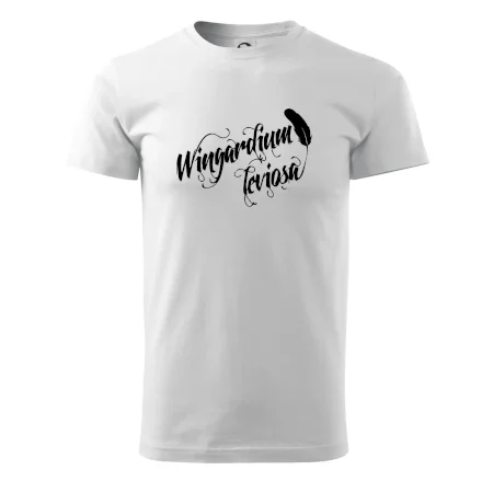 Harry - Wingardium Leviosa