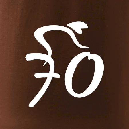 Cyklista oslavuje sedemdesiatku (70)