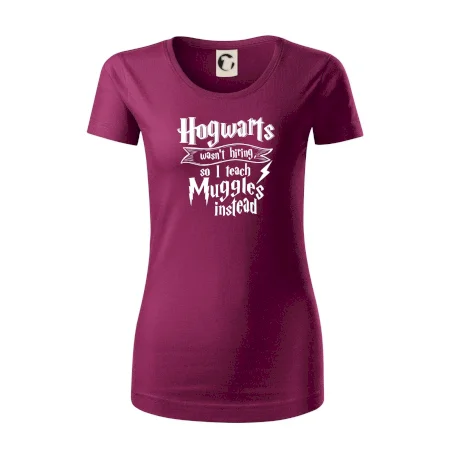 Harry - Hogwarts wasn’t hiring, so I teach Muggles instead