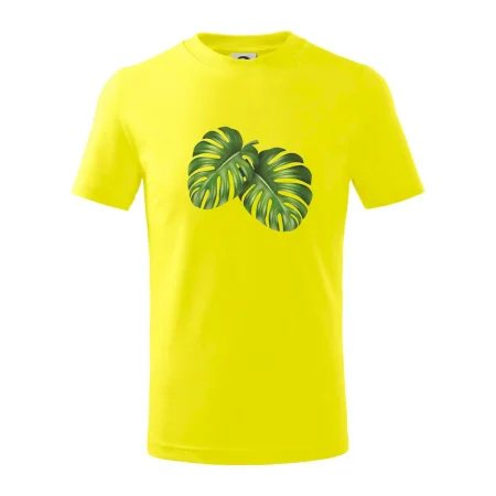 Monstera - dva listy