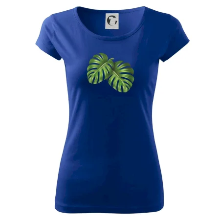 Monstera - dva listy
