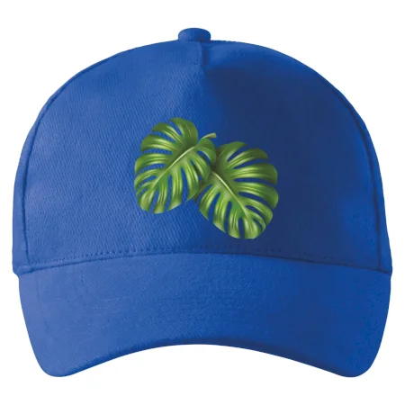 Monstera - dva listy